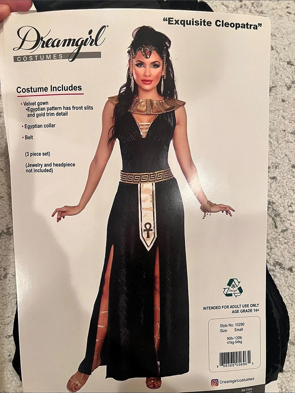 Dreamgirl Exquisite Cleopatra Costume Black & Gold Smal